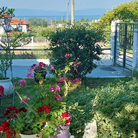 Panorama Karianí